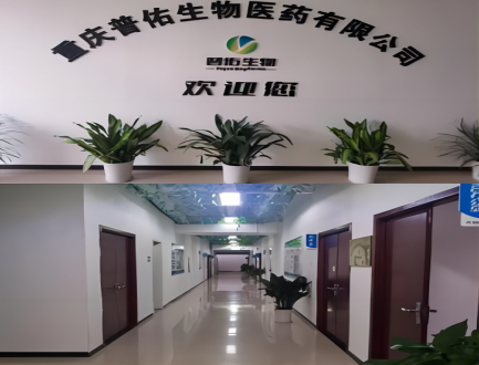 普佑研發中心一角